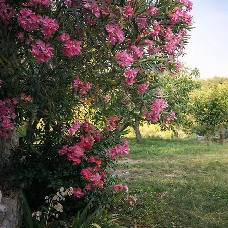 Cote Source - Parenthese Ardechoise-charme Et Vue En Sud Ardeche