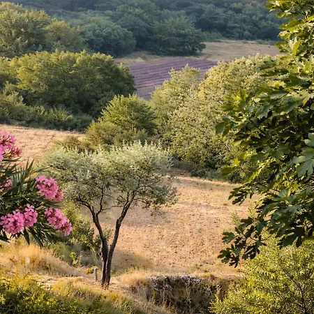 Côté Source - Parenthèse Ardéchoise-Charme et Vue en sud Ardèche *